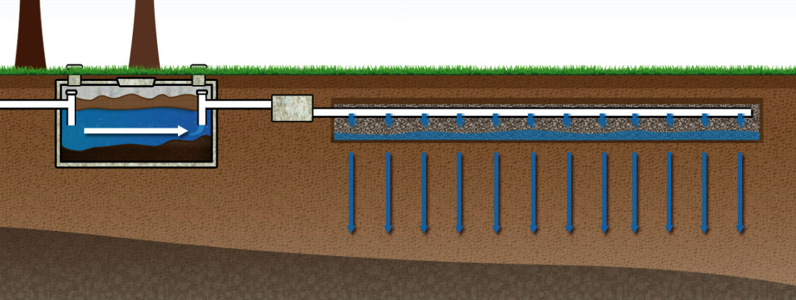 Septic System Diagram with Drainfield